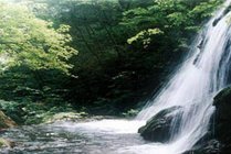 沟崖自然风景区