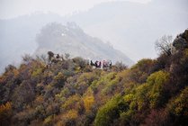 驼梁景区