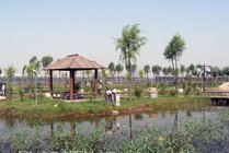 汾河湿地公园