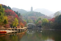 红叶谷
