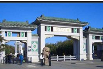 金川公园