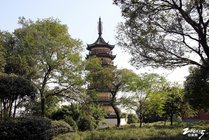 顾龙山