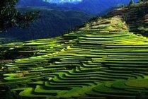 贵州紫林山国家森林公园