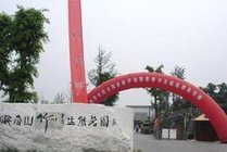 峨眉山竹叶青生态茗园