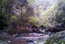 雅安碧峰峡旅游区