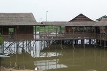 海上田园