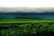 十万大山国家森林公园