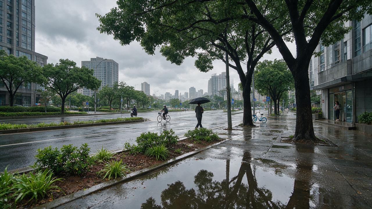 中央气象台发布渍涝风险预警：全国多地需警惕城乡积涝
